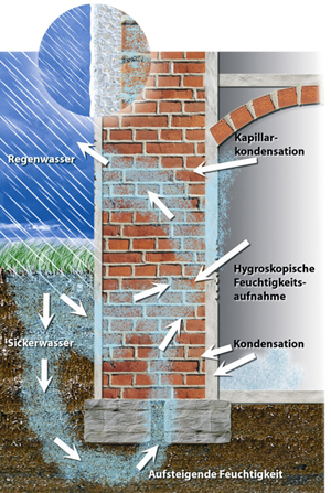 Feuchtigkeitsursachen an einem Haus. Kapillarkondensation, Hygroskopische Feuchtigkeitsaufnahme,  Kondensation, Aufsteigende Feuchtigkeit, Sickerwasser, Schlagregen