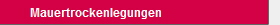 Mauertrockenlegungen